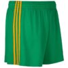 Mourne Shorts Kids Green Amber Stripes